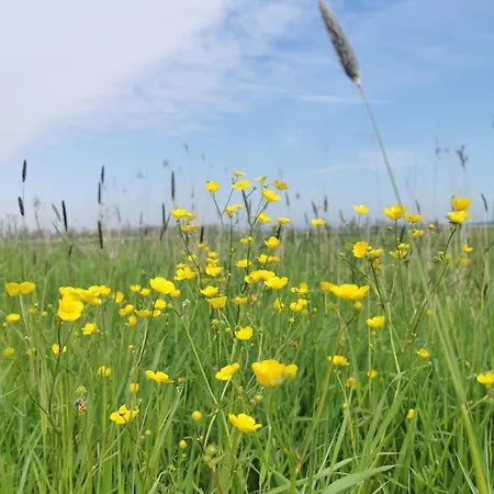 Op De Terp * Werkendam