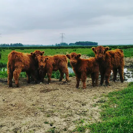 Op De Terp Werkendam