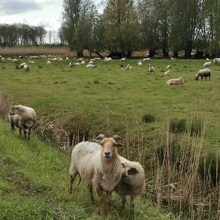 Op De Terp
