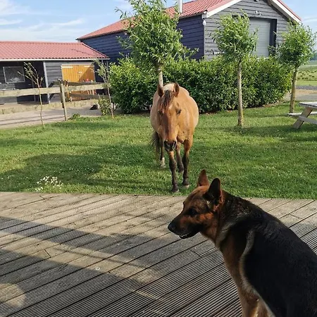 Frühstückspension Op De Terp *