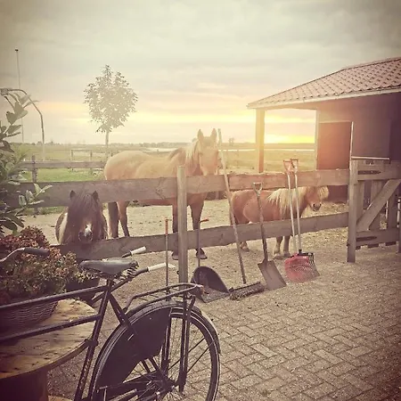 Op De Terp Werkendam