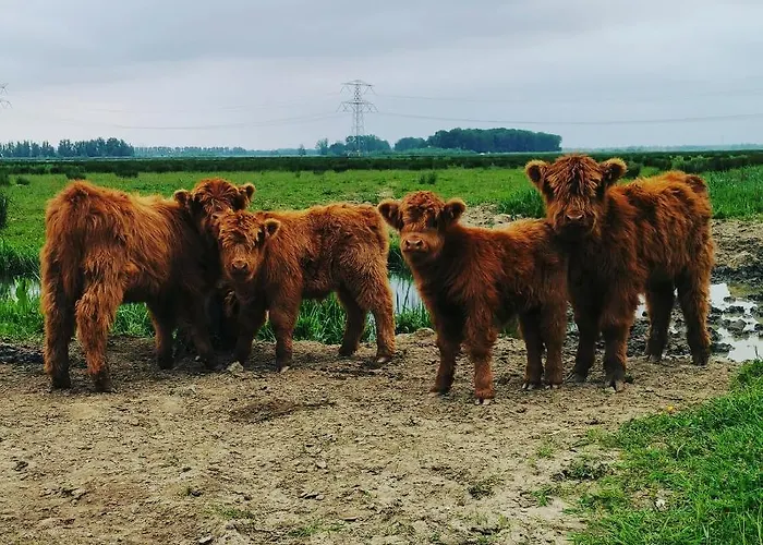 Op De Terp Werkendam