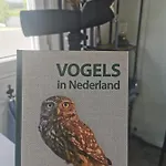 Op De Terp *