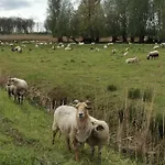 Op De Terp