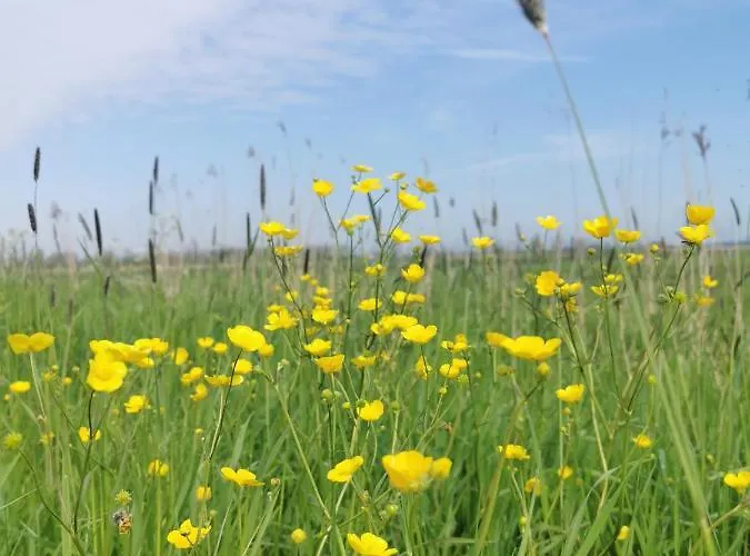 Op De Terp * Werkendam