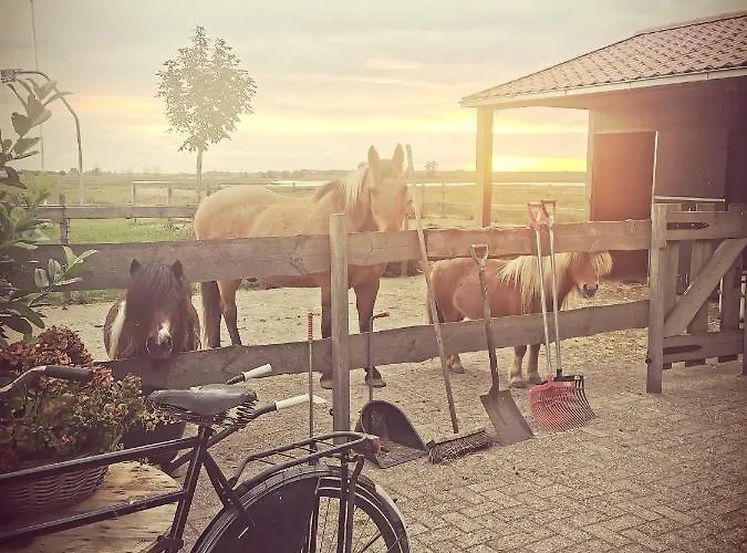 Op De Terp Werkendam